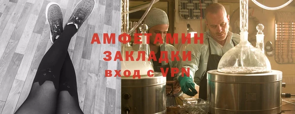 индика Белокуриха