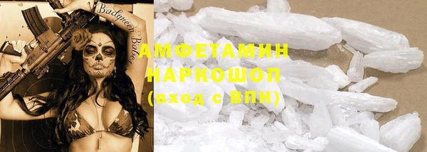 индика Белокуриха