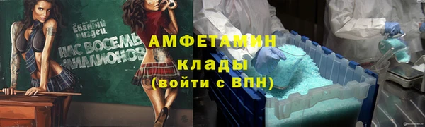 прущие грибы Беломорск