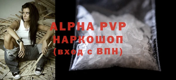 индика Белокуриха