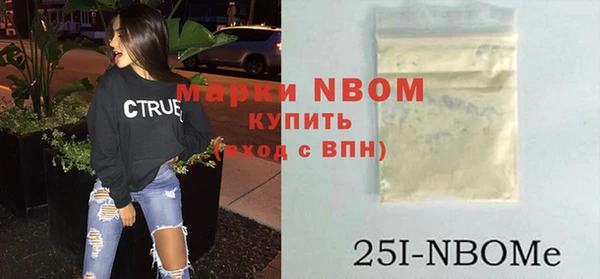 индика Богородск