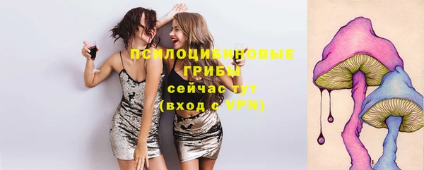 индика Богородск