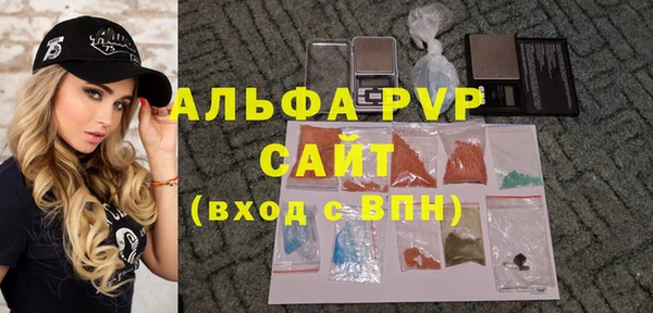 индика Богородск