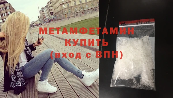 прущие грибы Беломорск