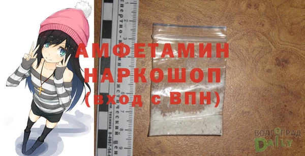 прущие грибы Беломорск