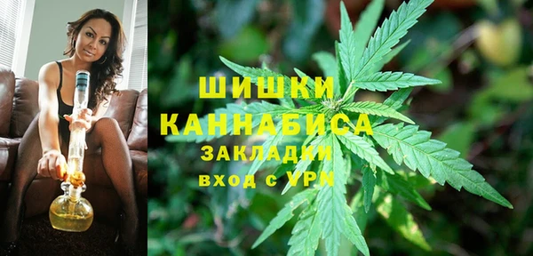 прущие грибы Беломорск