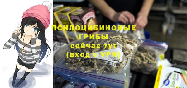 ПСИЛОЦИБИНОВЫЕ ГРИБЫ Богородицк