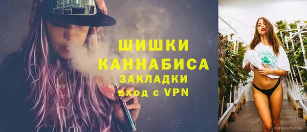 прущие грибы Беломорск