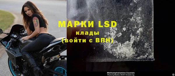 прущие грибы Беломорск
