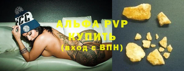 прущие грибы Беломорск