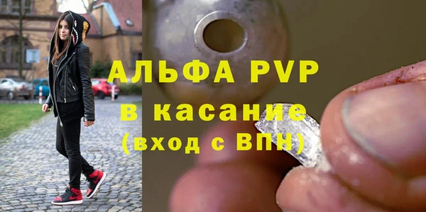 индика Белокуриха