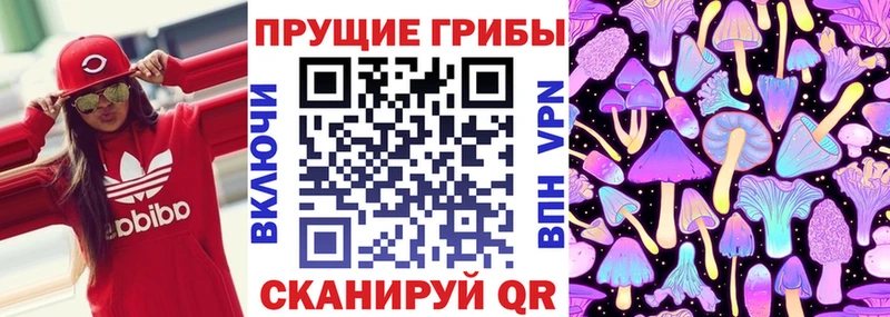 Галлюциногенные грибы MAGIC MUSHROOMS  kraken сайт  Болхов 